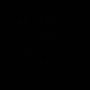 Meet your Posher, Cecii